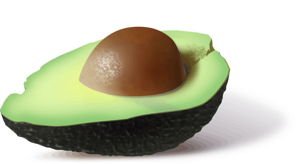 avocado gesunde fettsäuren